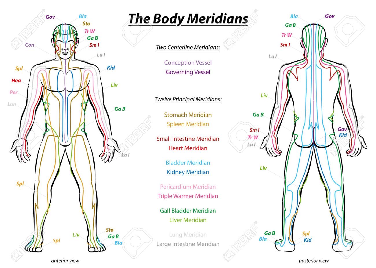 best chinese medicine for weight loss