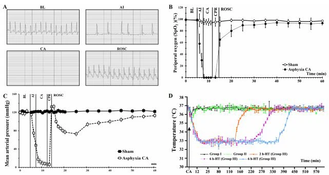 Figure 2. Physiological variables in Groups I, II and III. (A) Electrocardiogram from a representative animal at BL, AI, CA and ROSC. Pulseless electrical  activity is shown during CA, although it is often visible during CA.