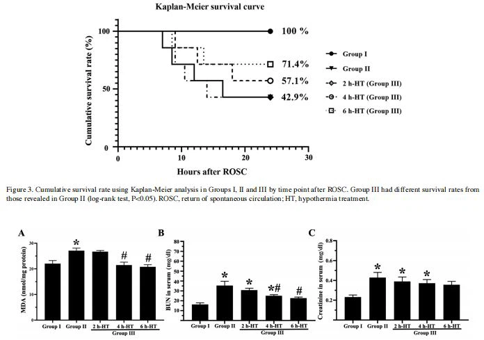 Figure 4. MDA, serum BUN and creatinine levels of the renal cortex tissue.