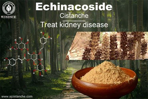 To  relieve kidney injury and disease