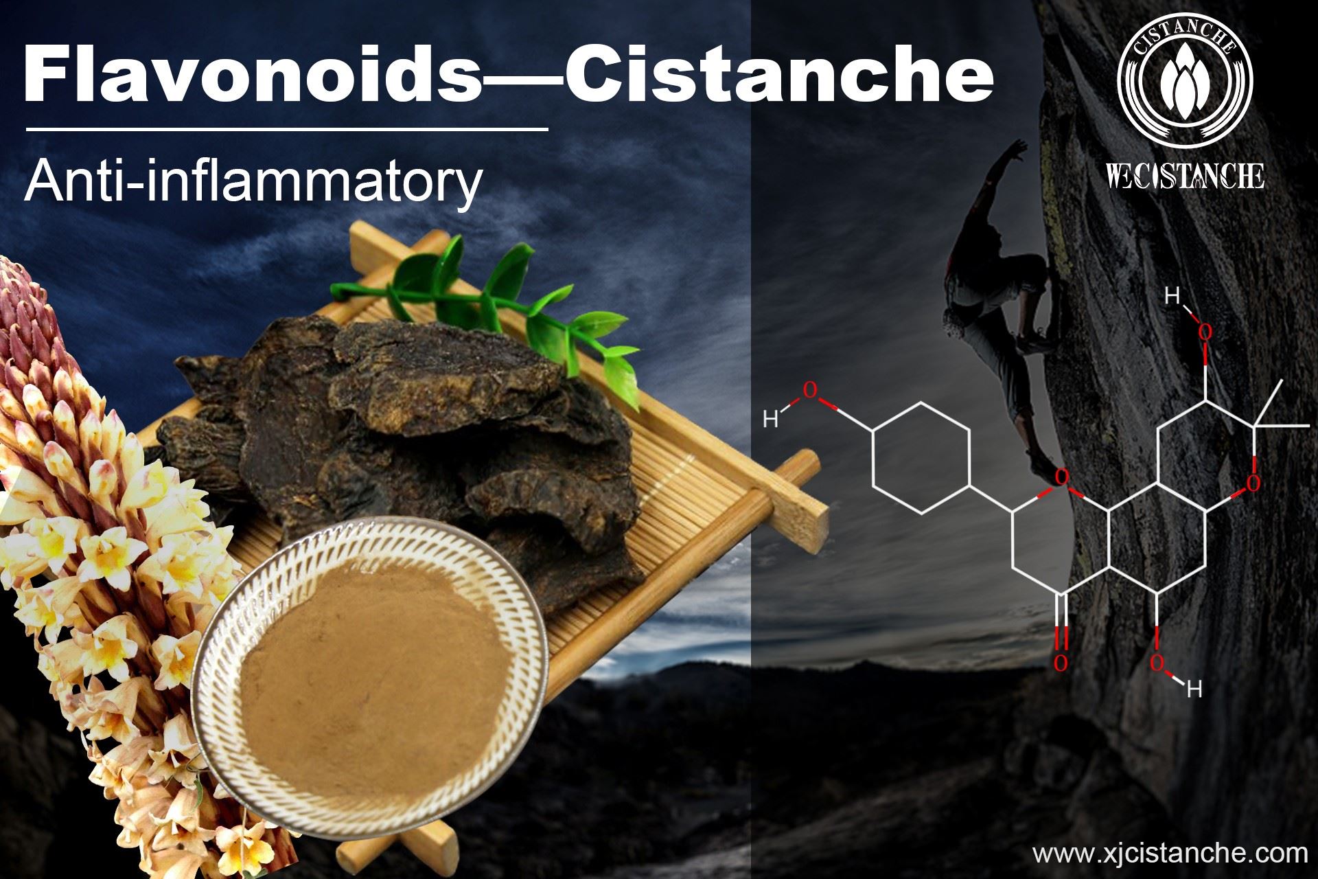 effect of anti-inflammatory