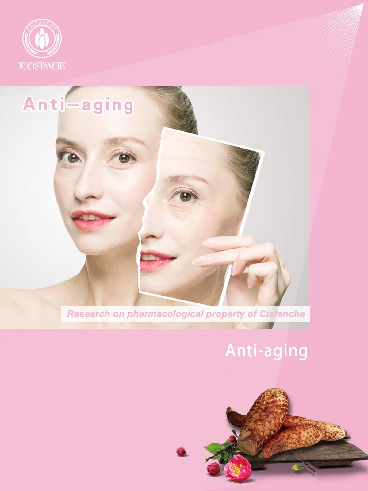 CISTANCHE BENEFIT