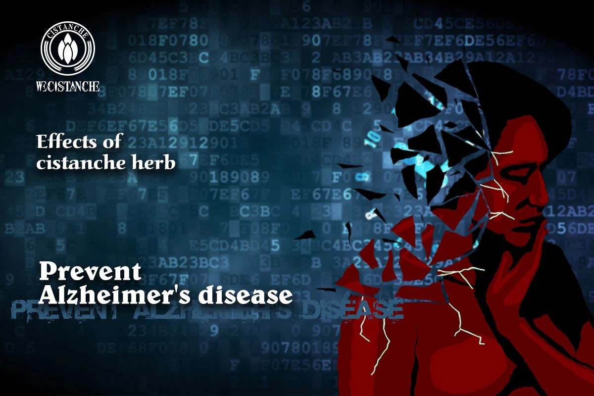 Prevent Alzheimer's disease