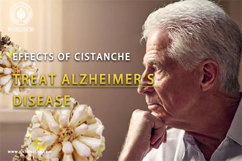 effects of Cistanche treat Alzheimer's disease (3)