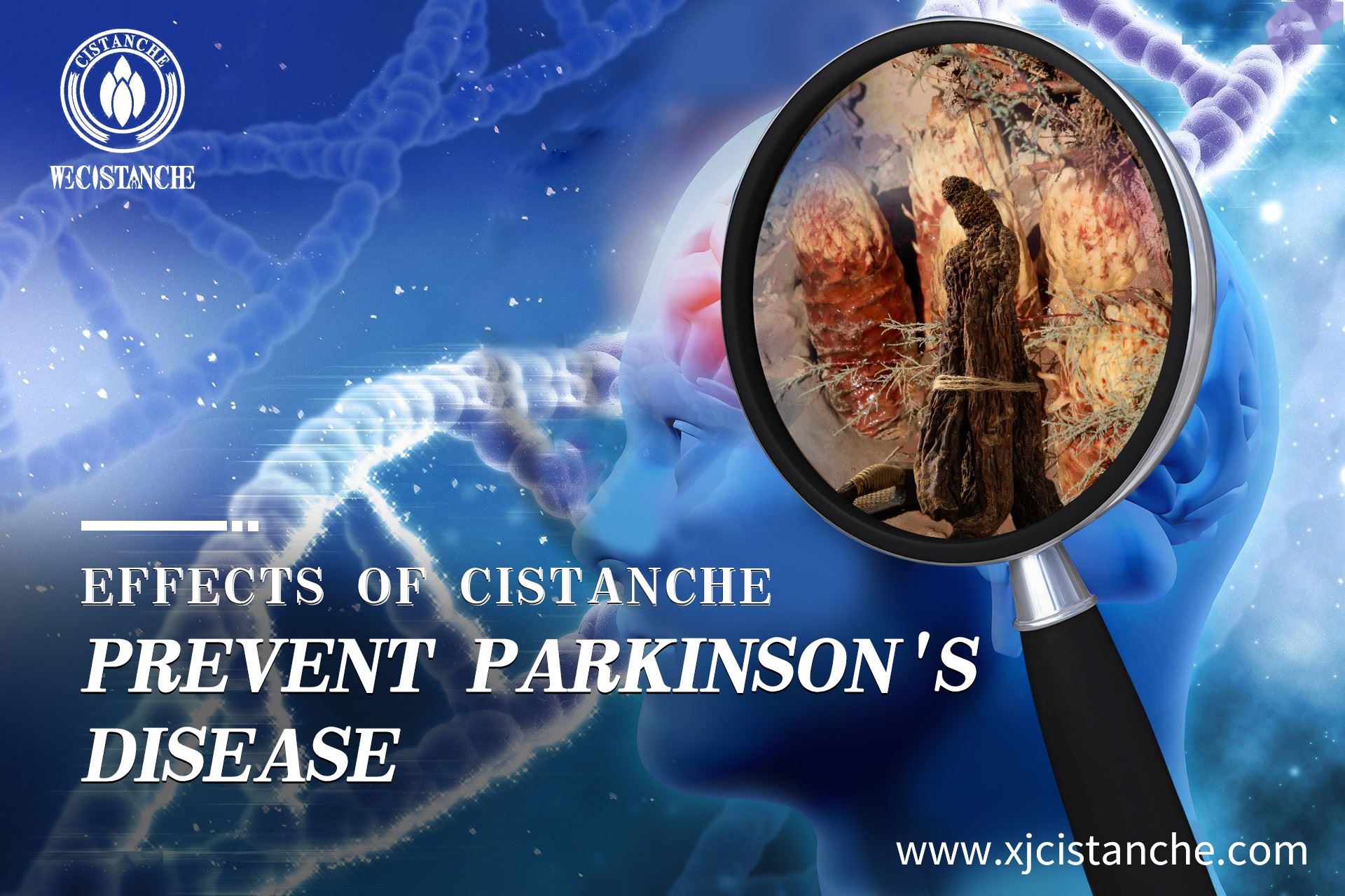 how to treat parkinson's disease