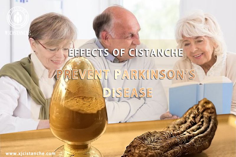 natural herb for parkinson's disease