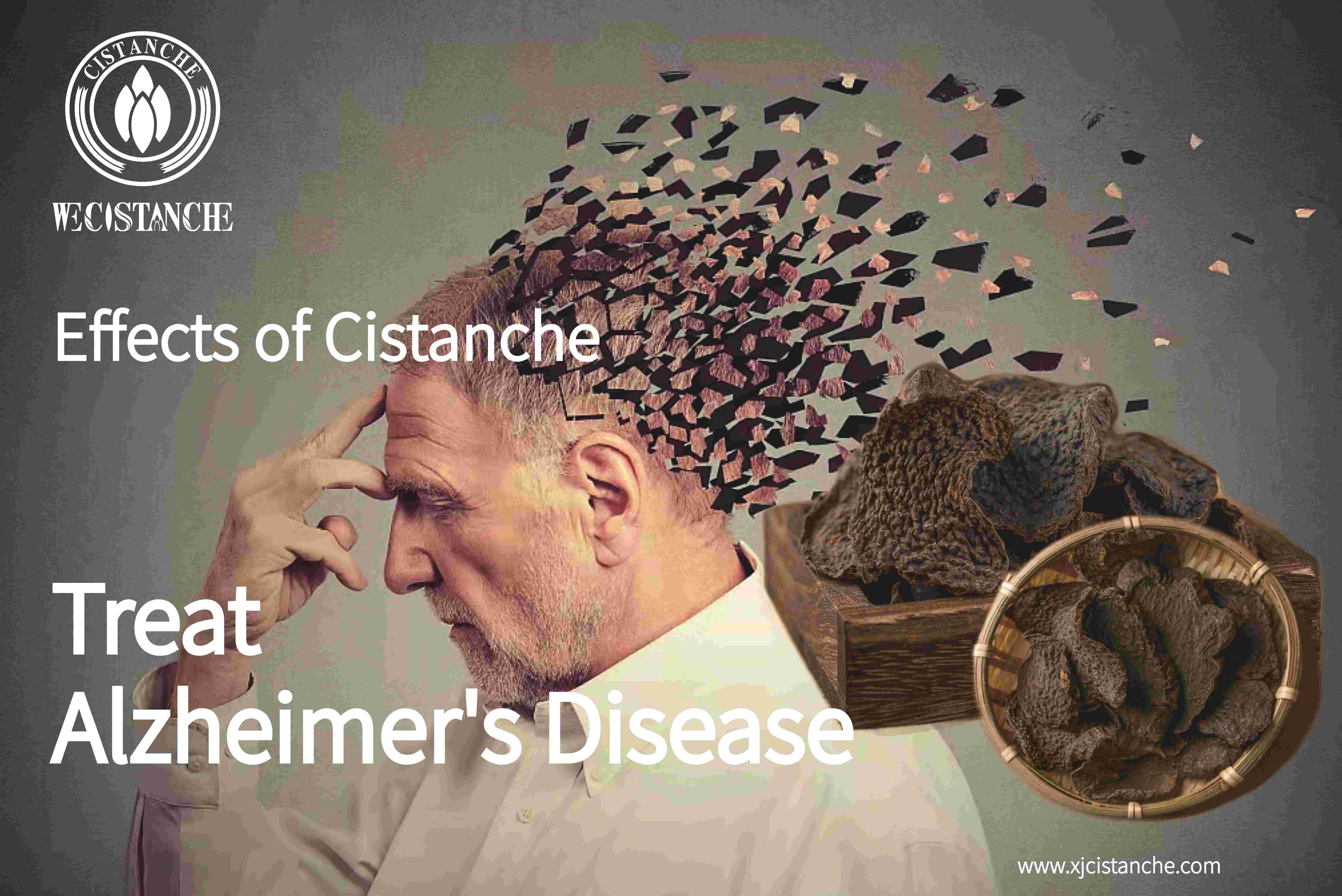how to treat alzheimer's disease how to treat alzheimer's disease