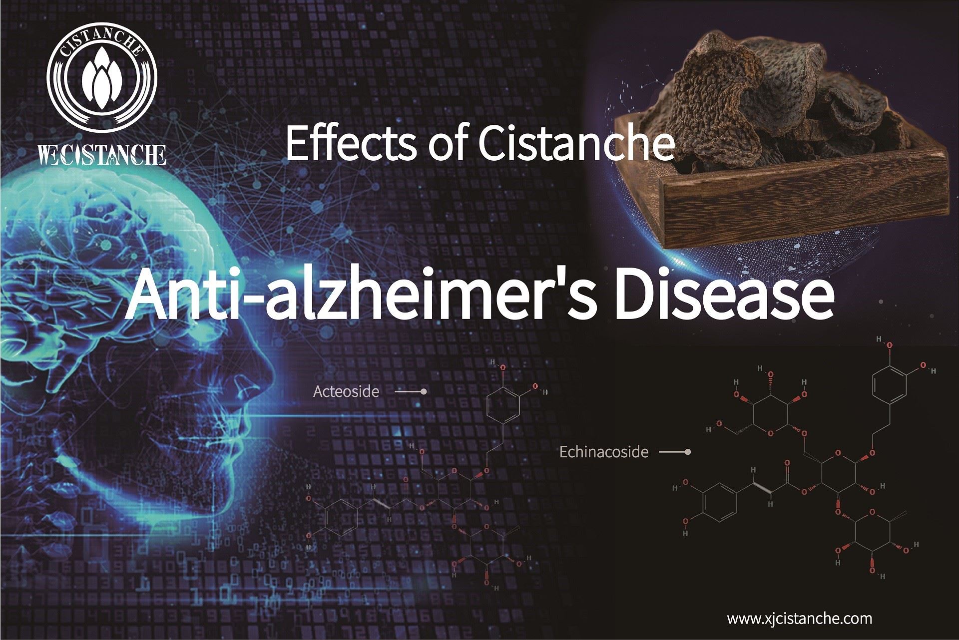 how to prevent alzheimer's disease how to prevent alzheimer's disease