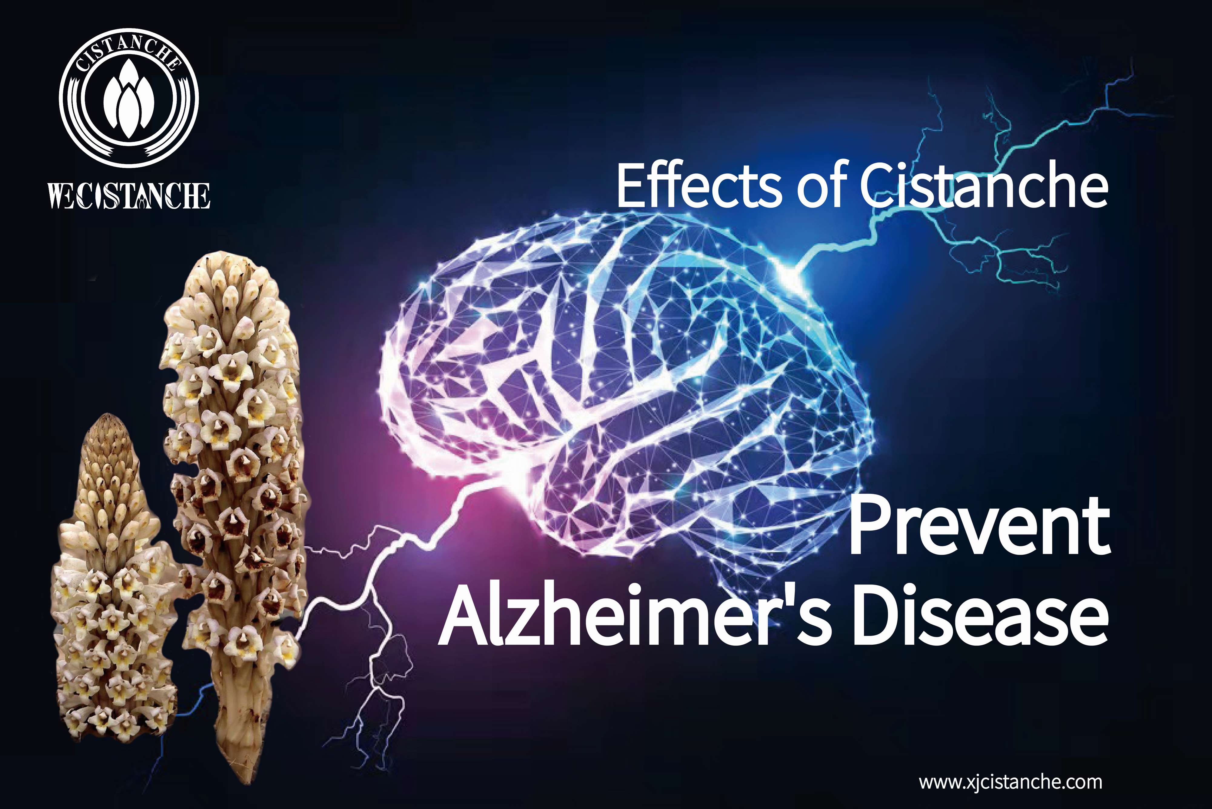 best herb for alzheimer's disease best herb for alzheimer's disease