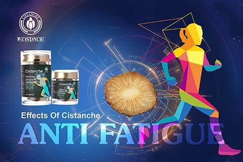 Anti-fatigue Cistanche