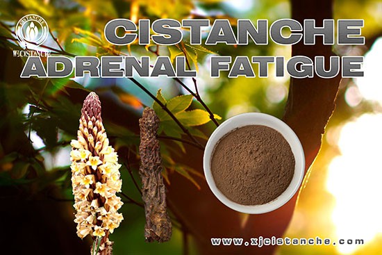 Psychophysiological Disease herbs Psychophysiological Disease herbs