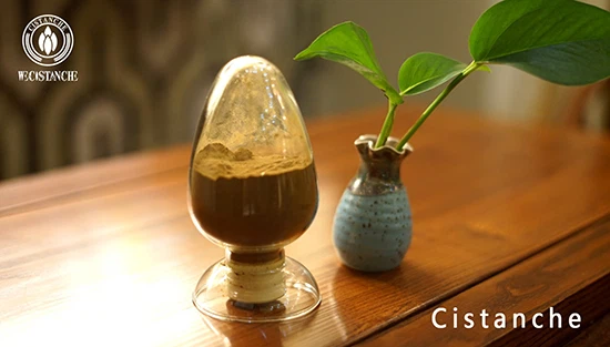 Cistanche extract (2)