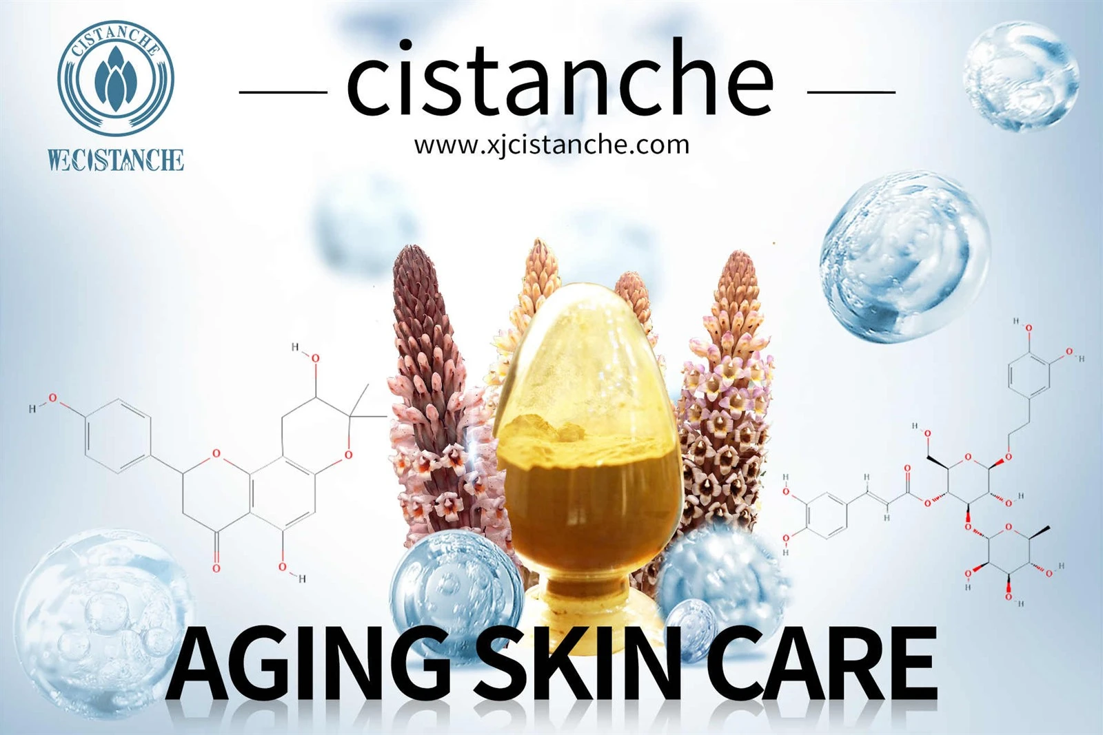 cistanche supplement review