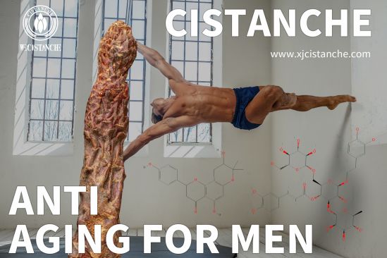 Cistanche and Penis Enlargement Cistanche and Penis Enlargement