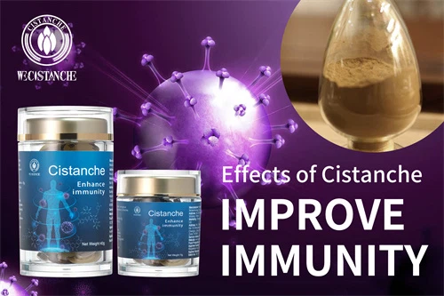 cistanche wirkung