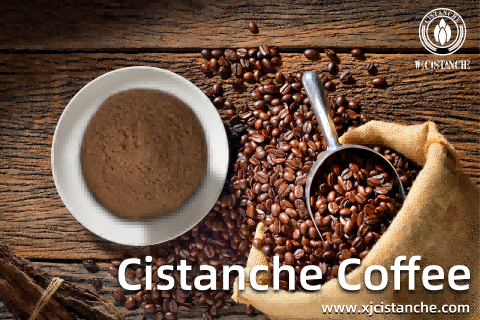 25% echinacoside 9% acteoside cistanche for kidney