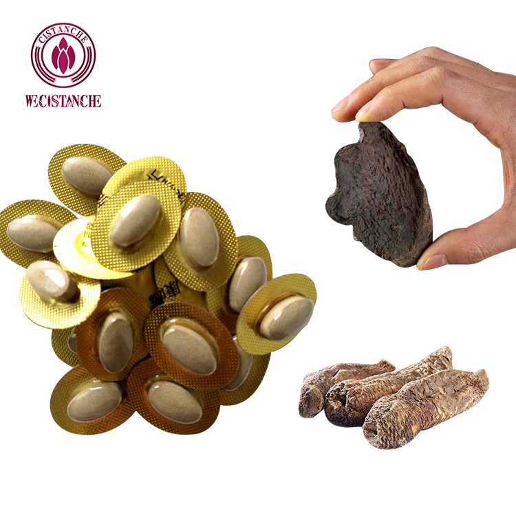 25% echinacoside 9% acteoside cistanche for kidney