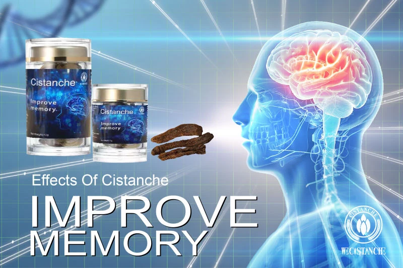 Cistanche tubulosa for improving memory