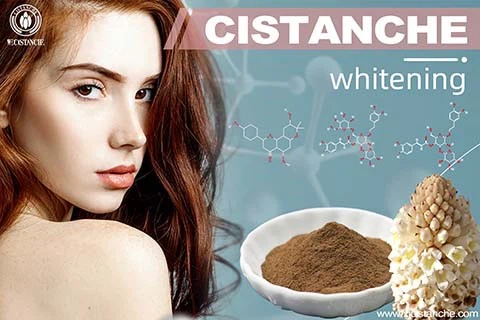 Skincare Cistanche 12 Skincare Cistanche 12